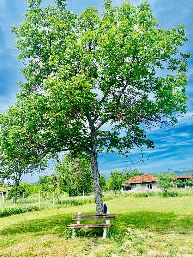 Caravans 10 Min To Tsonevo Lake & 35 Min To Black Sea Exterior foto